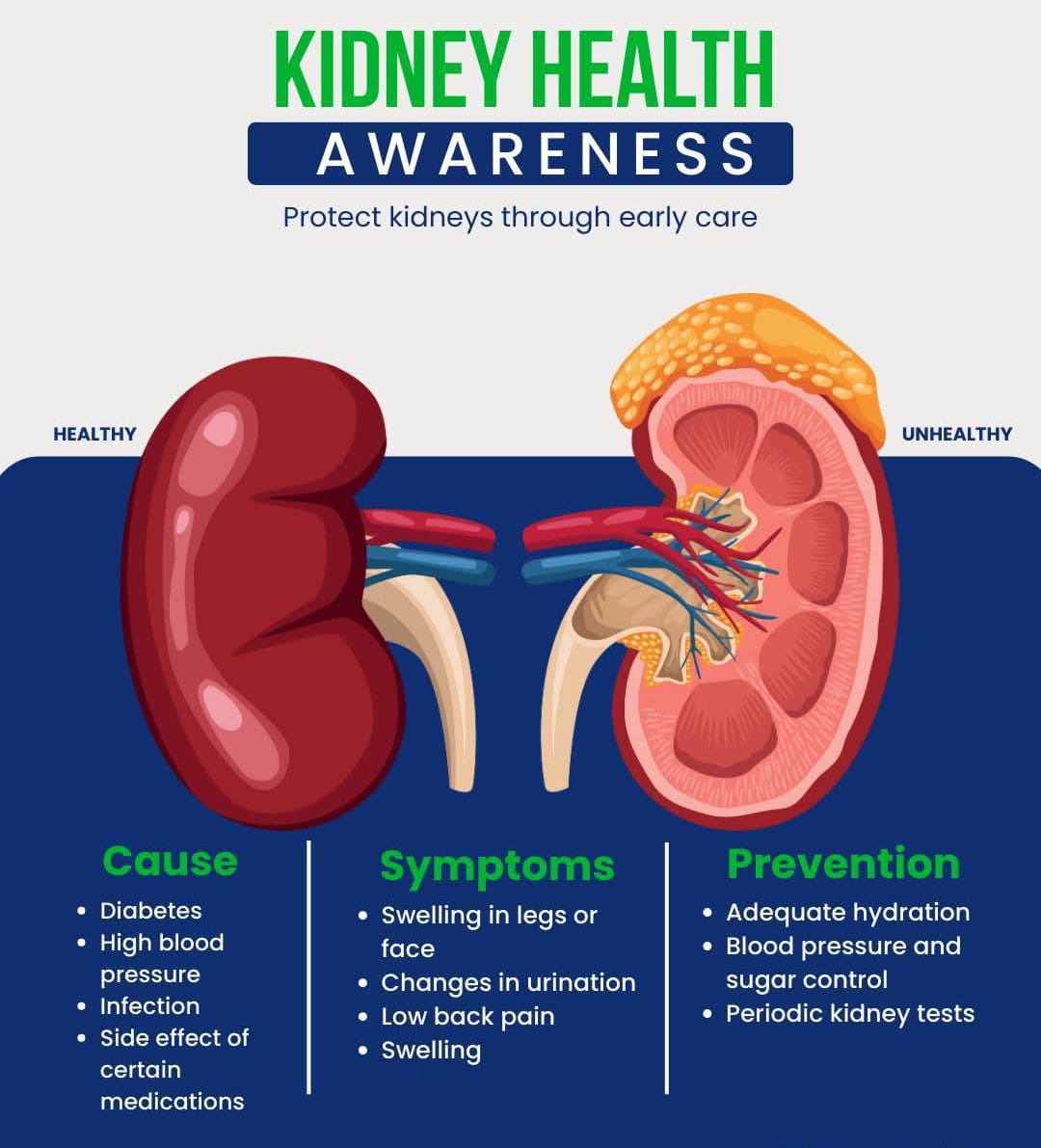 Chronic Kidney Disease